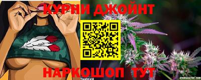 PSILOCYBIN Новодвинск